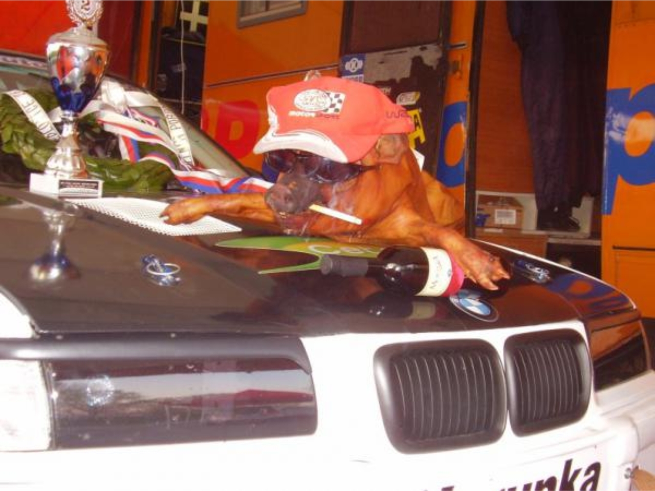 SVC Náchod Trophy Team 2008