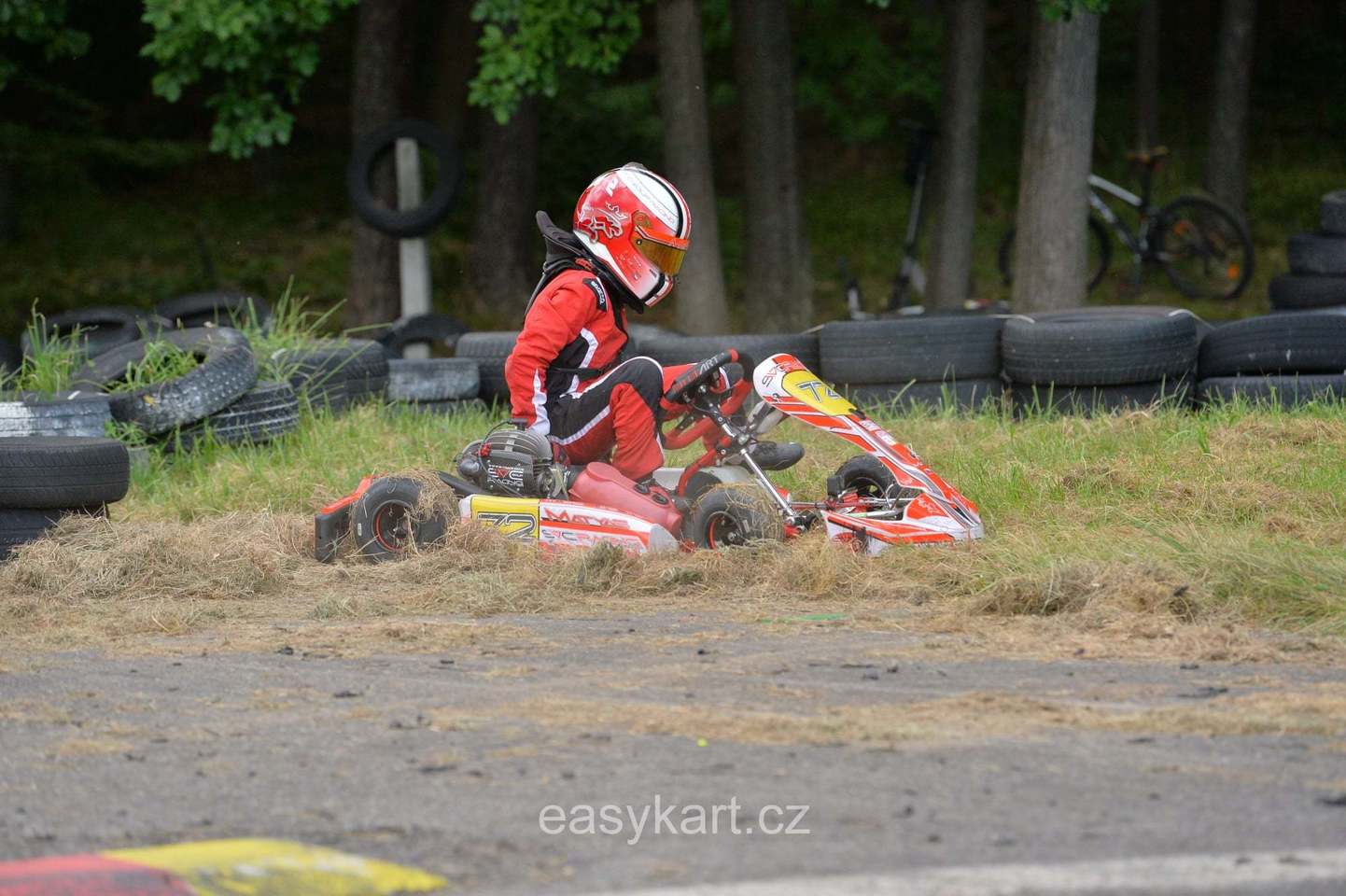 5 závod MČR v kartingu na trati zvané české zelené peklo v Písku.