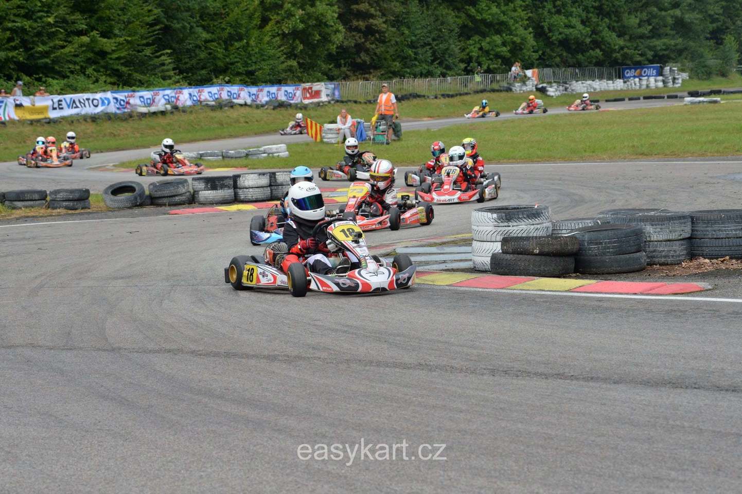 5 závod MČR v kartingu na trati zvané české zelené peklo v Písku.
