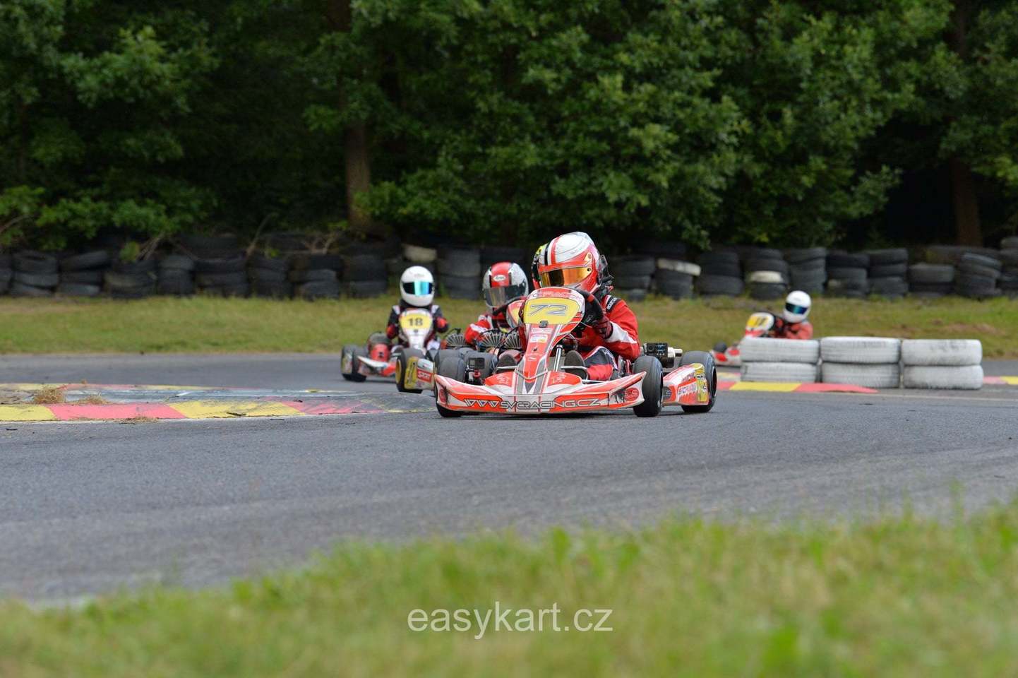 5 závod MČR v kartingu na trati zvané české zelené peklo v Písku.