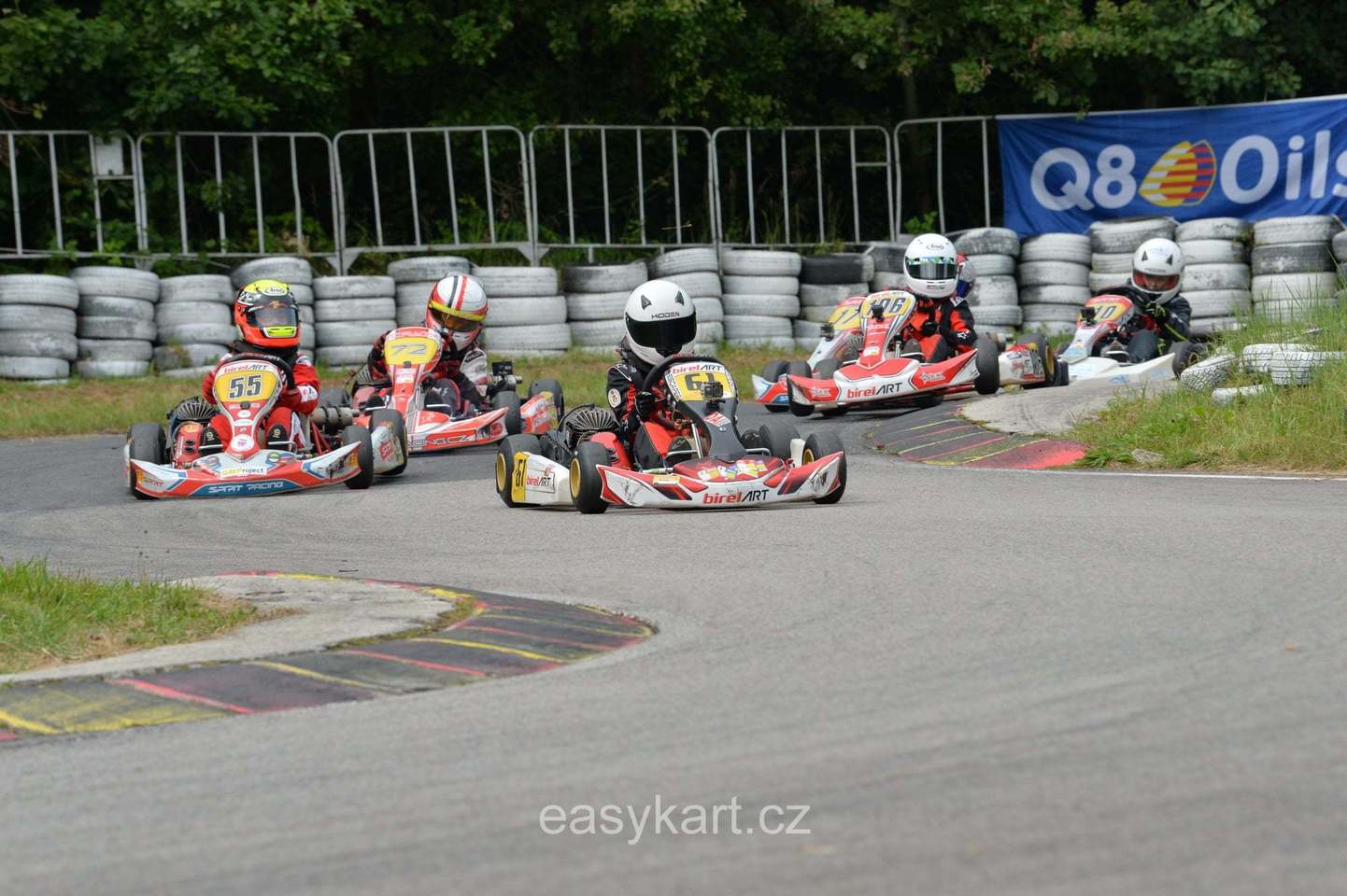 5 závod MČR v kartingu na trati zvané české zelené peklo v Písku.