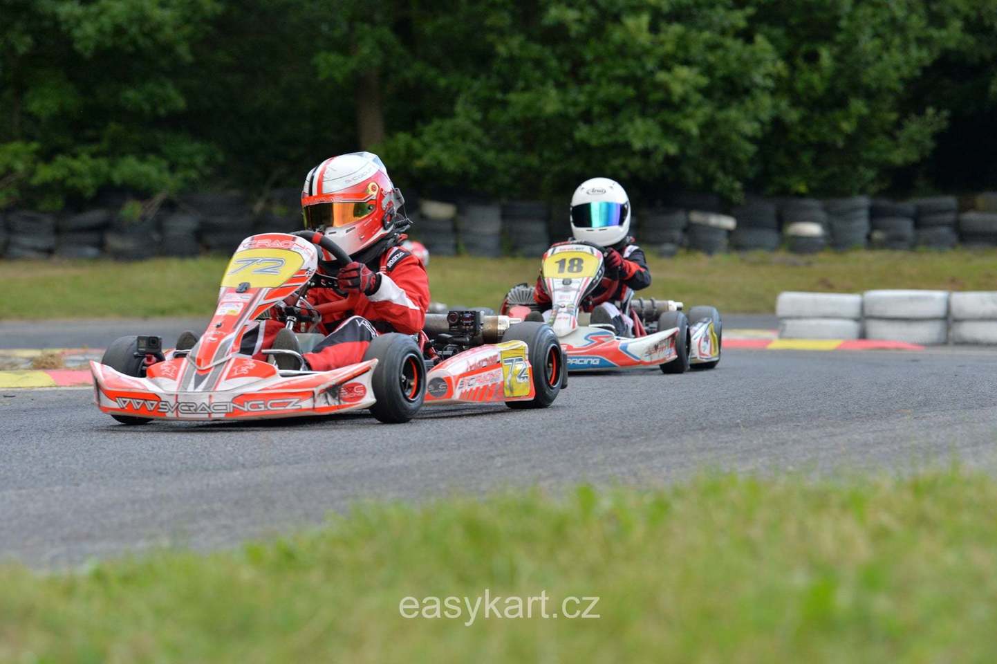5 závod MČR v kartingu na trati zvané české zelené peklo v Písku.