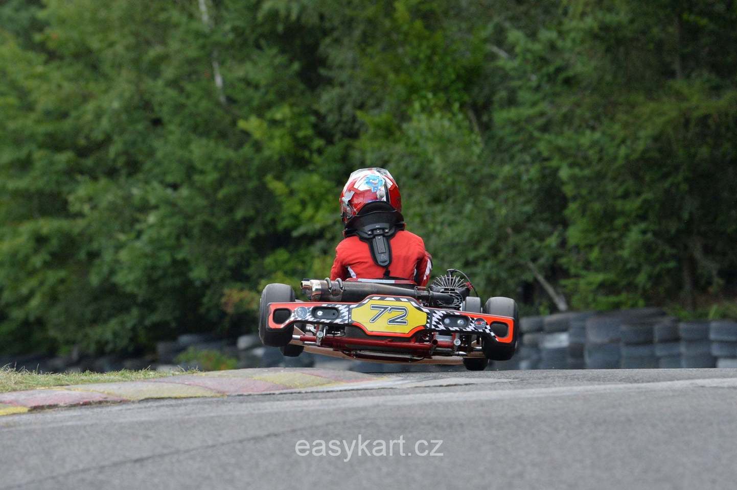 5 závod MČR v kartingu na trati zvané české zelené peklo v Písku.