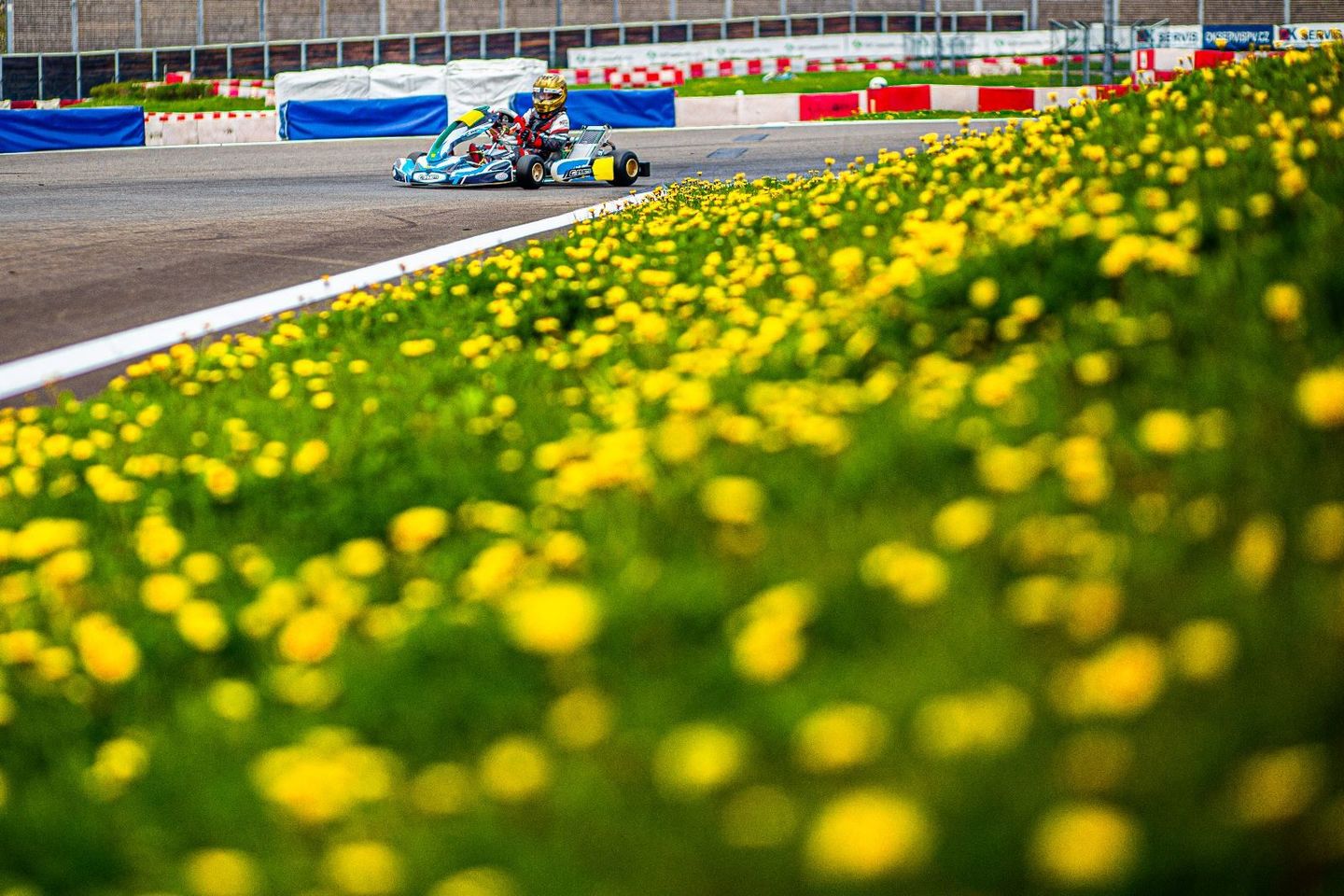 CZECH KART OPEN  v nové mistrovské kategorii OKJ 30.04.2023