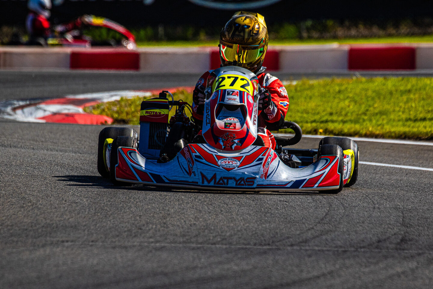 Matyas Vitver Henza Kart GROUP Gamoto kart