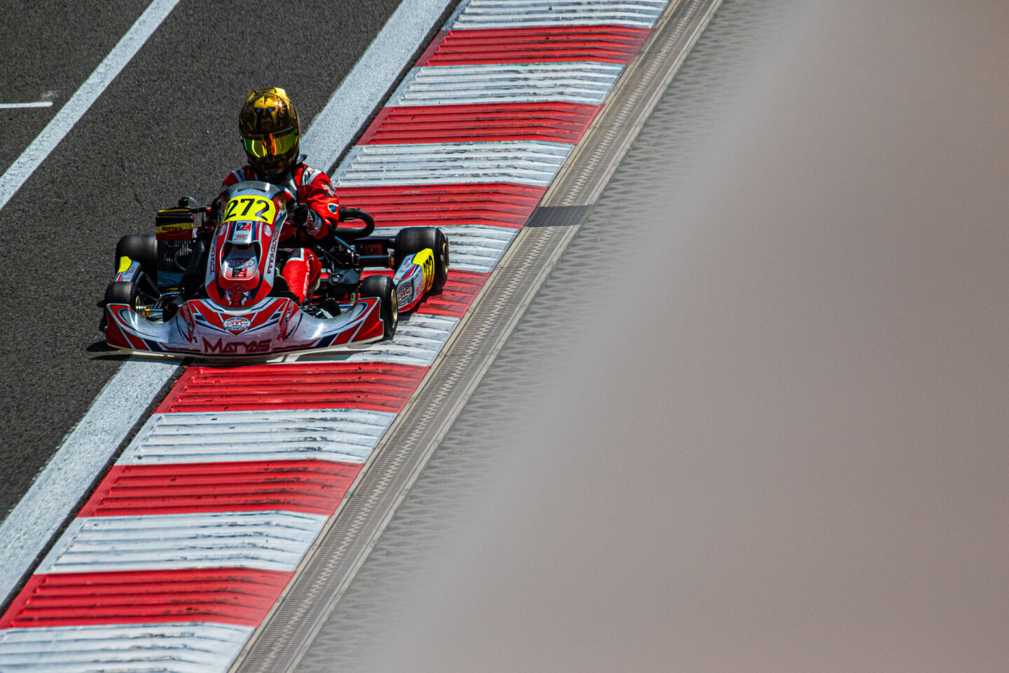 Matyas Vitver Henza Kart GROUP Gamoto kart