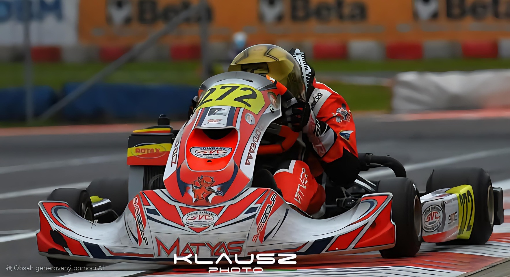 Matyas Vitver Henza Kart GROUP Gamoto kart