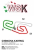 WSK OPEN SERIES Cremona - Matyas Vitver 2023