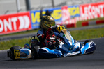 WSK OPEN SERIES Cremona - Matyas Vitver 2023