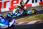 WSK OPEN SERIES Cremona - Matyas Vitver 2023