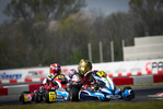 WSK OPEN SERIES Cremona - Matyas Vitver 2023