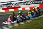 Partner Výrobce tažných zařízení SVC GROUP Matyas Vitver OKJ Go Kart motokary